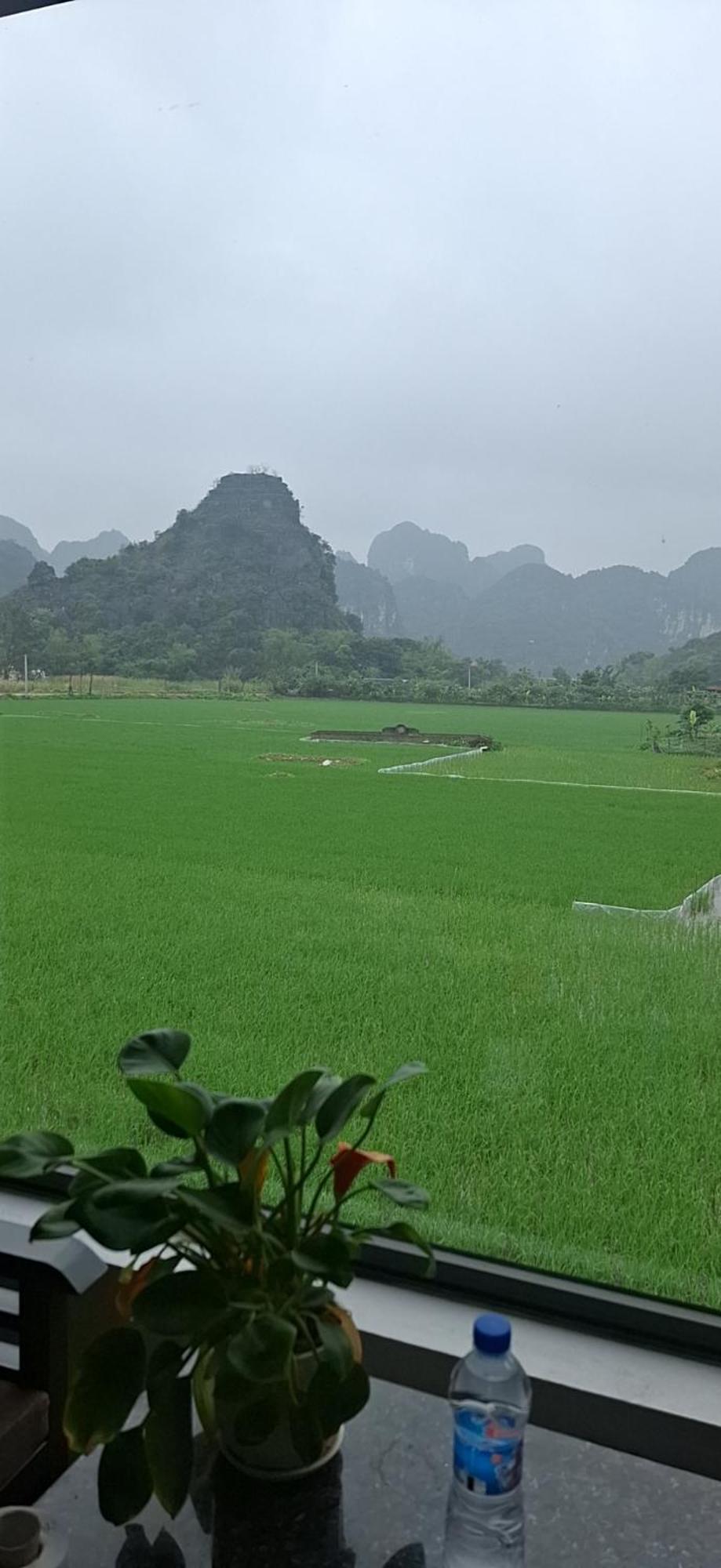Trang An Rice Field Homestay Нин Бин Екстериор снимка